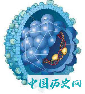 绝密档案：美国和日本“保守得最好的官方秘密之一”