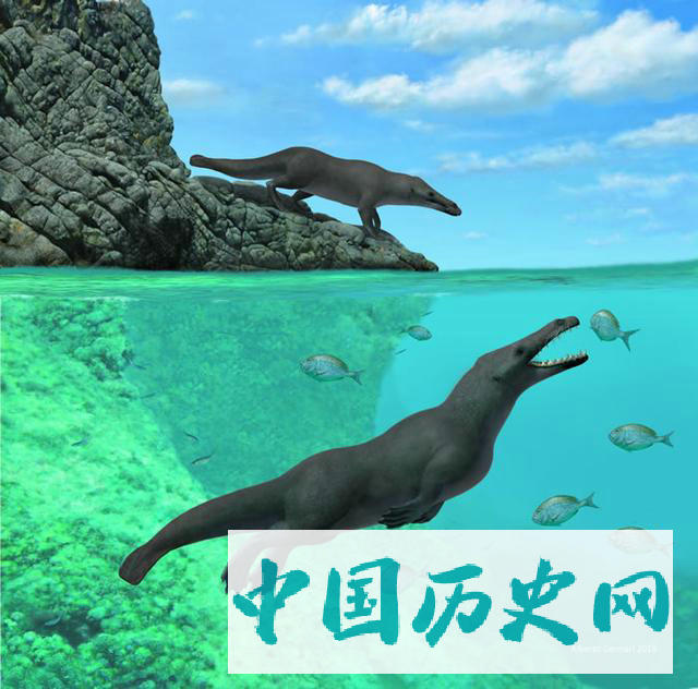 秘鲁海岸发现距今4260万年前的远古四足鲸