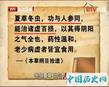 电视节目以古代医学典籍中的记载来宣传冬虫夏草