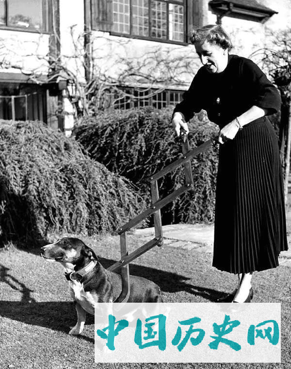 人类的发明真是太太太太太愚蠢了