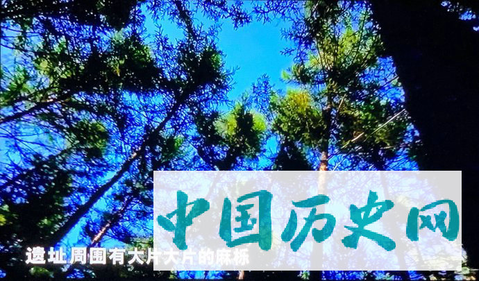 尉迟寺考古证明4400年前的气候