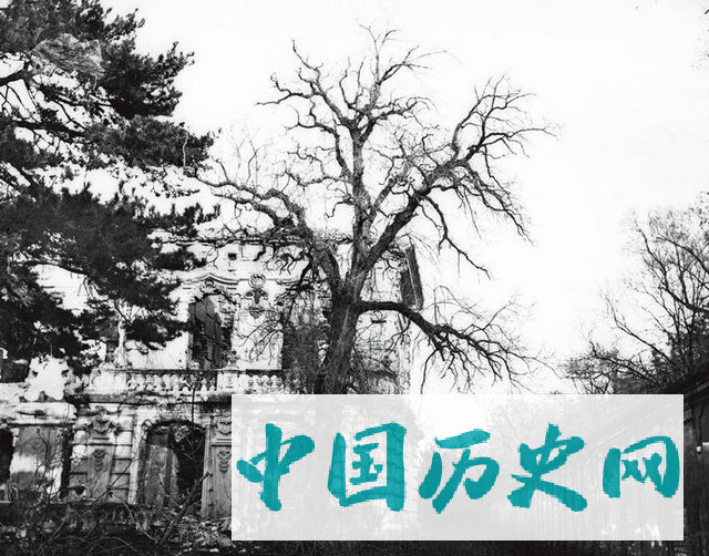 老照片：英法联军大火后，圆明园中幸免于难的几处