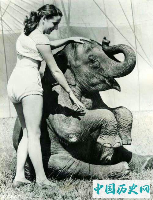 美女只是噱头马戏团要挣钱还得靠真本事