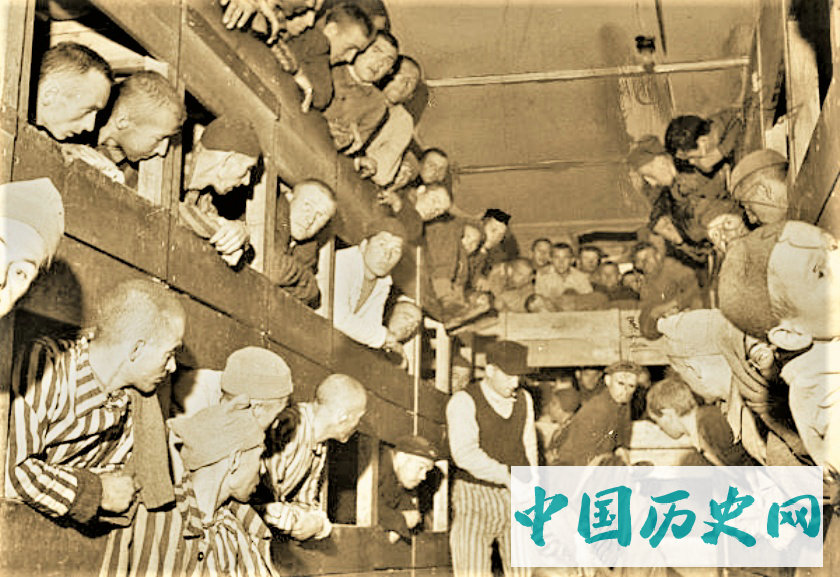 二战时期纳粹集中营老照片铁栏之内俨然是地狱
