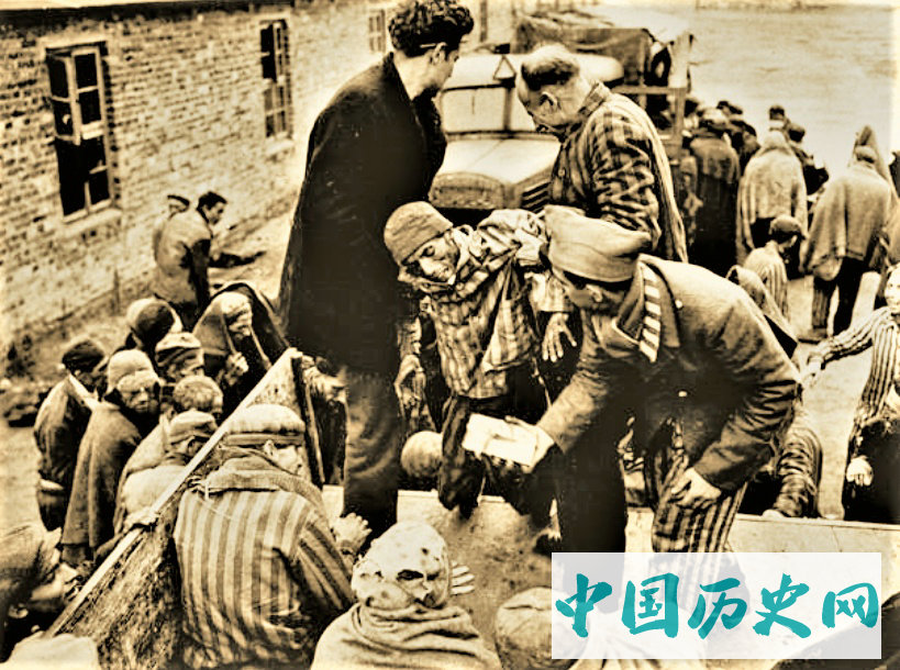 二战时期纳粹集中营老照片铁栏之内俨然是地狱