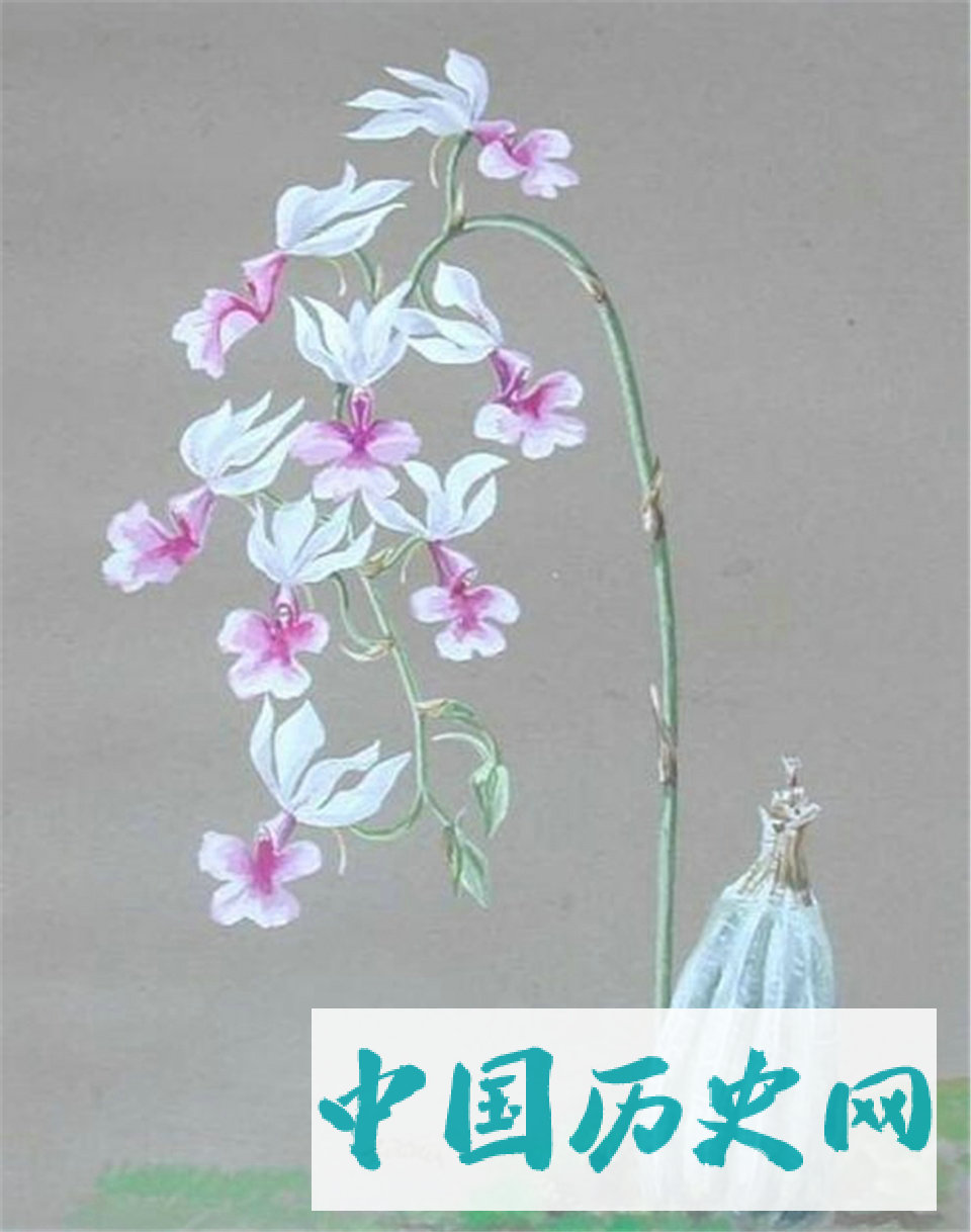 恶魔也有文艺青年的一面，希特勒的画作你觉得怎么样？