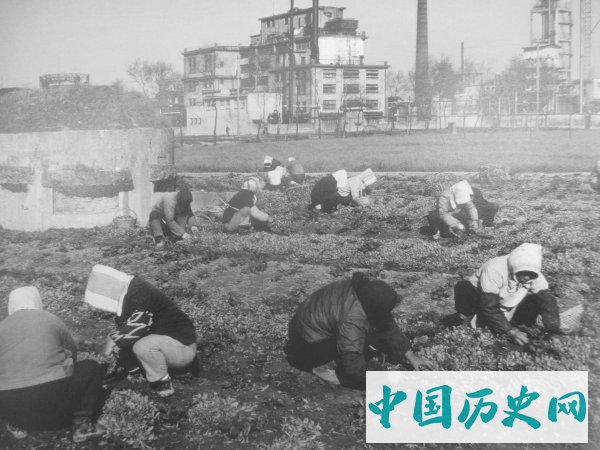 老照片里充满人情味的上海女人穿着保守却美丽