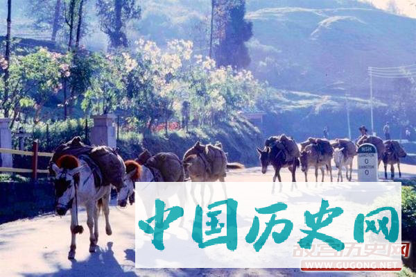 西藏老照片：世界上最雄伟的喜马拉雅山脉 1963年
