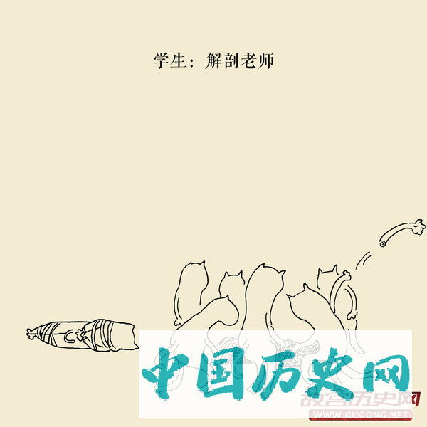 老舍作品《猫城记》曾预言南京大屠杀