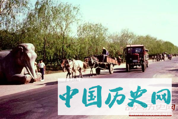 80年代老照片：街拍1981年的交通工具