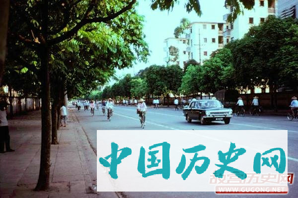 80年代老照片：街拍1981年的交通工具