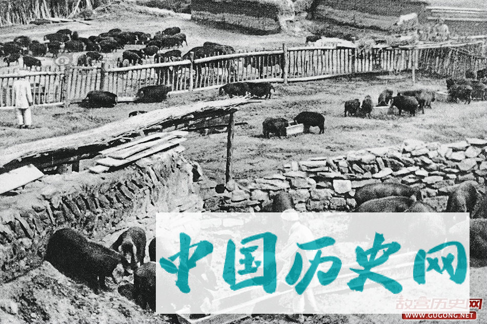抗战老照片：记录真实的八年抗战
