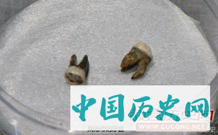 隋炀帝墓出土文物