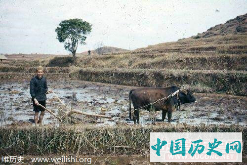 老照片：中国1946年的罕见彩照