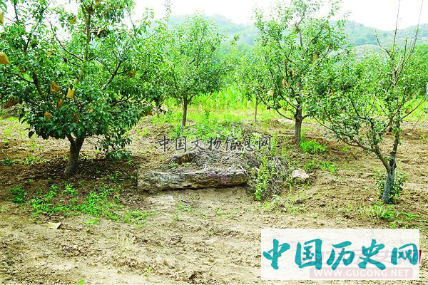 辽宁盖州青石岭山城发掘取得新收获