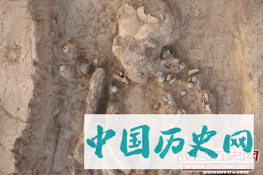 中国考古学家在北巴克特里亚地区发现古月氏遗存
