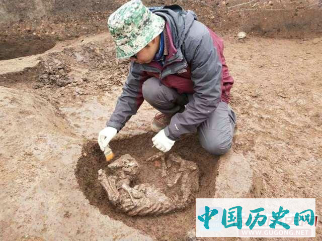 湖北省钟祥县发现一处新石器时代聚落遗址