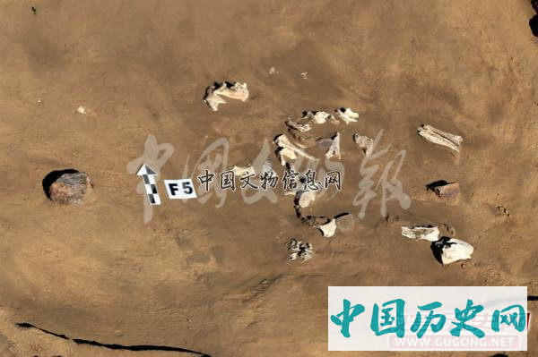 内蒙古化德铜鼎山四麻沟遗址