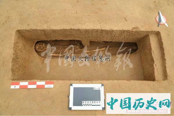 陕西高陵杨官寨遗址