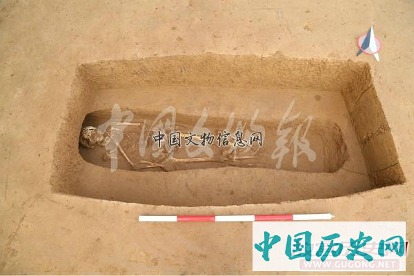 陕西高陵杨官寨遗址