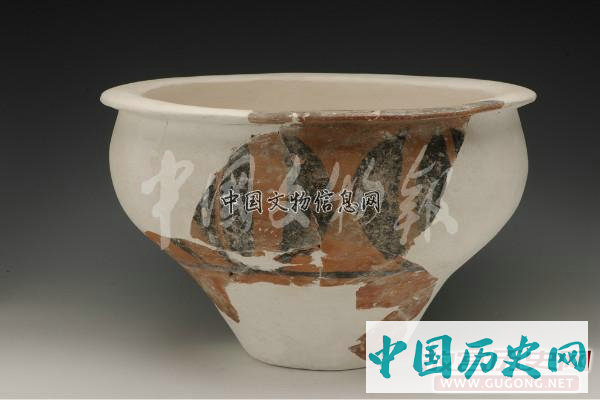 陕西高陵杨官寨遗址