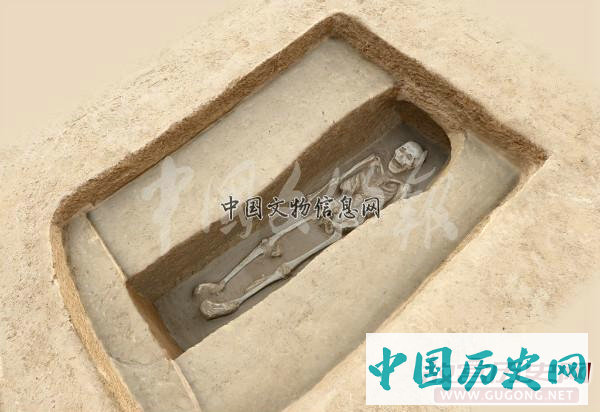 陕西高陵杨官寨遗址