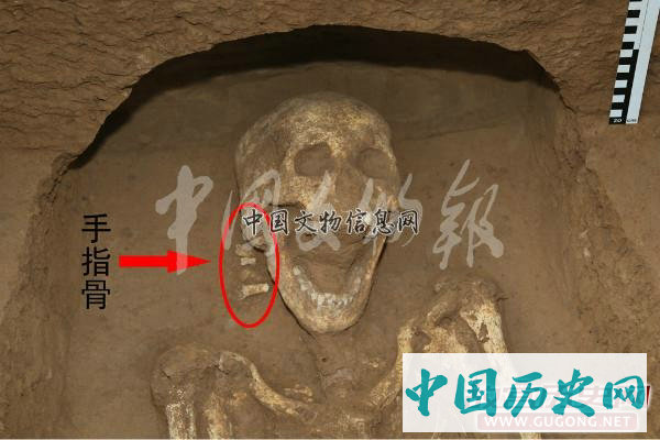 陕西高陵杨官寨遗址