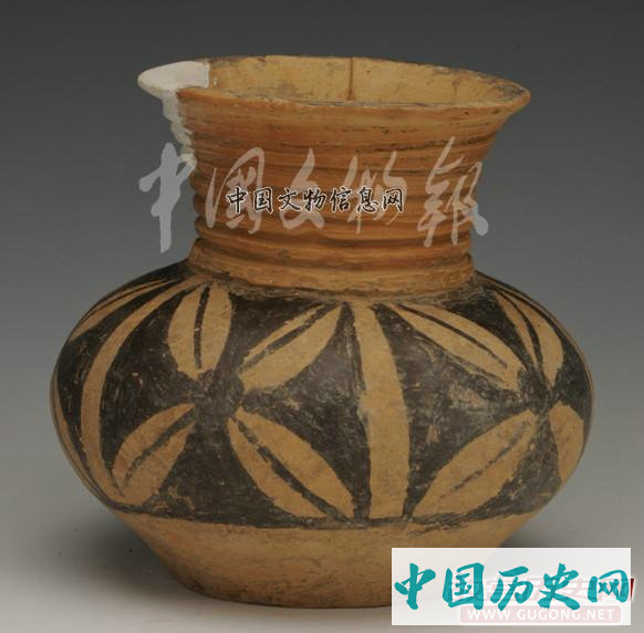 陕西高陵杨官寨遗址
