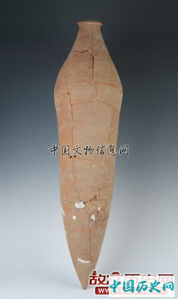 陕西高陵杨官寨遗址