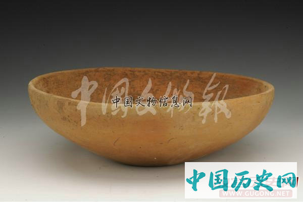 陕西高陵杨官寨遗址