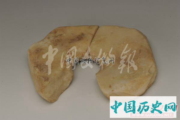 陕西高陵杨官寨遗址