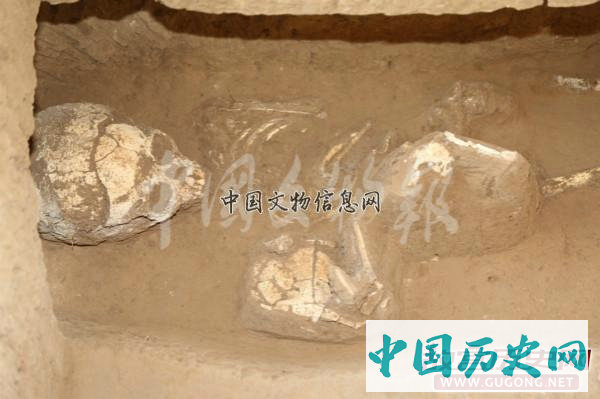 陕西高陵杨官寨遗址