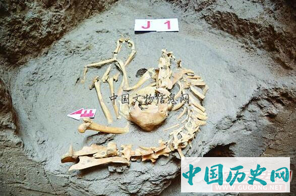 宁夏彭阳姚河塬发现大型商周遗址