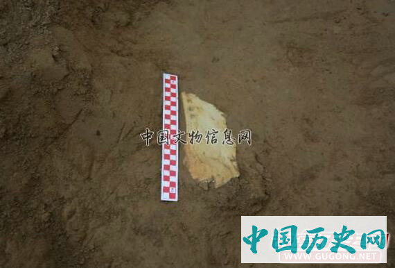 宁夏彭阳姚河塬发现大型商周遗址
