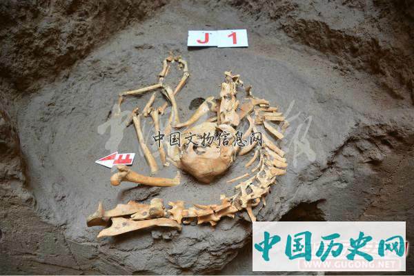 宁夏彭阳姚河塬商周遗址