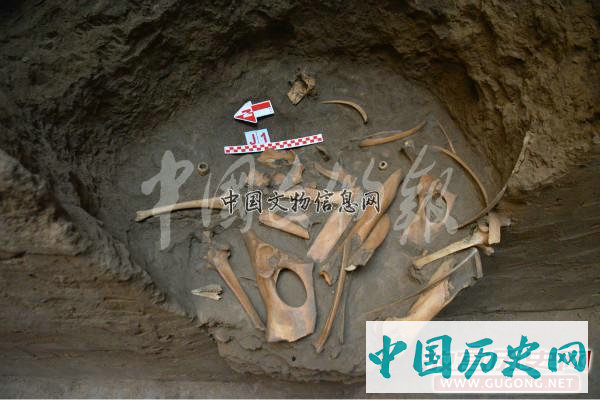 宁夏彭阳姚河塬商周遗址
