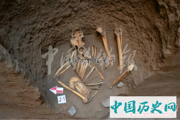 宁夏彭阳姚河塬商周遗址