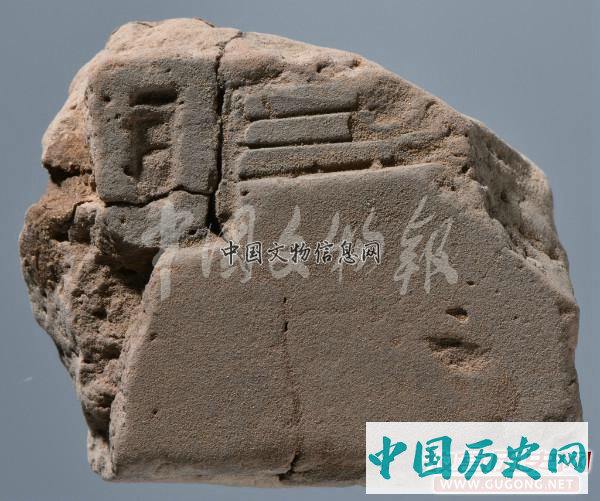 宁夏彭阳姚河塬商周遗址