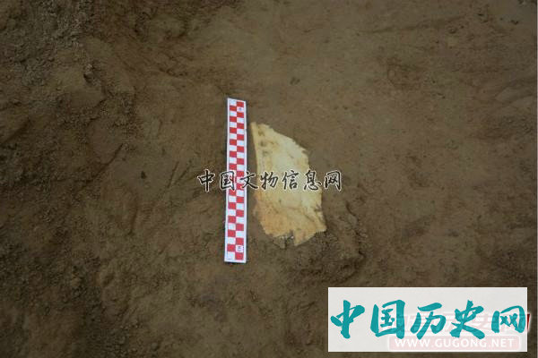 宁夏彭阳姚河塬商周遗址