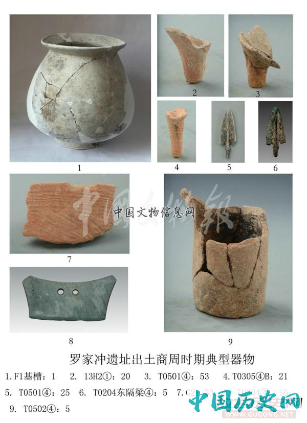 湖南宁乡罗家冲遗址