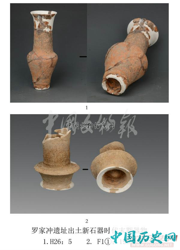 湖南宁乡罗家冲遗址