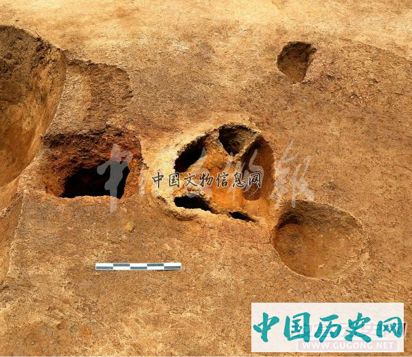 贵州习水黄金湾遗址