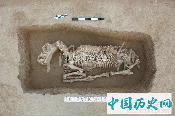 山西襄汾陶寺北墓地