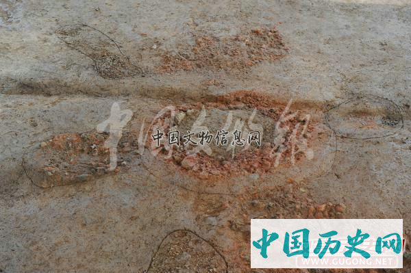 湖北京山苏家垄遗址