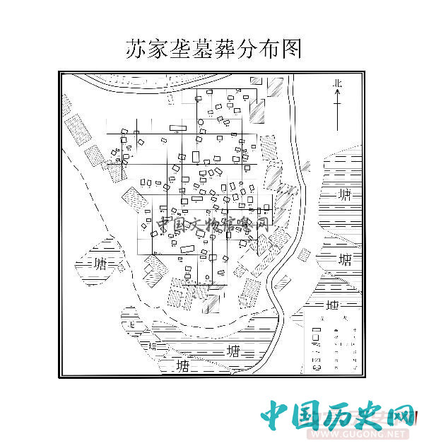 湖北京山苏家垄遗址