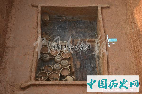 湖北京山苏家垄遗址