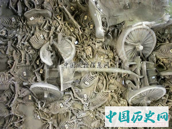 新郑郑韩故城遗址