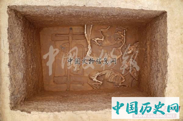 河北行唐故郡遗址