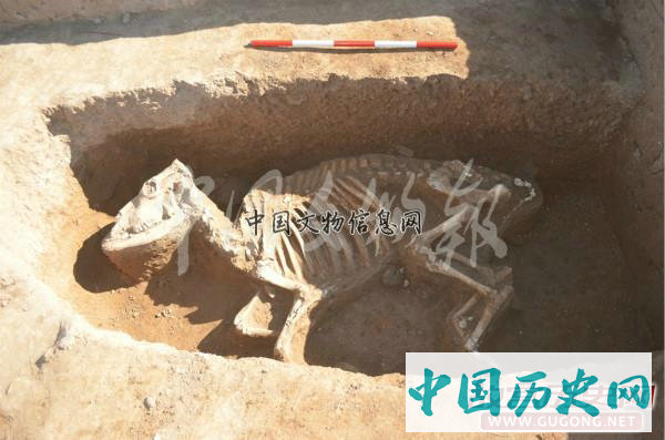 河南洛阳东汉帝陵考古调查与发掘