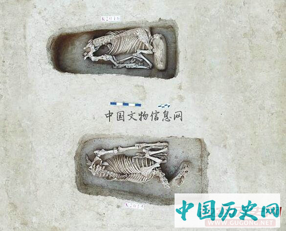 晋南东周考古的新突破——陶寺北墓地发现“卫侯之孙申子之子书”刻铭编钟